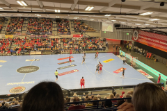 2025-jsg-sued-ostsaar-eulen-ludwigshafen-28